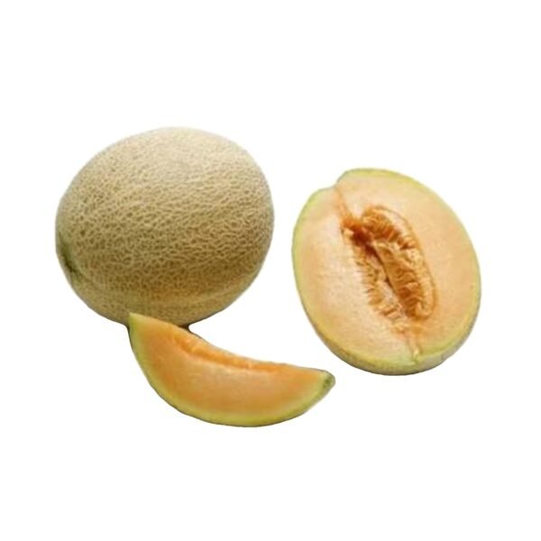 Iranian Melon(Big)