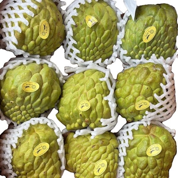 Custard Apple (each)