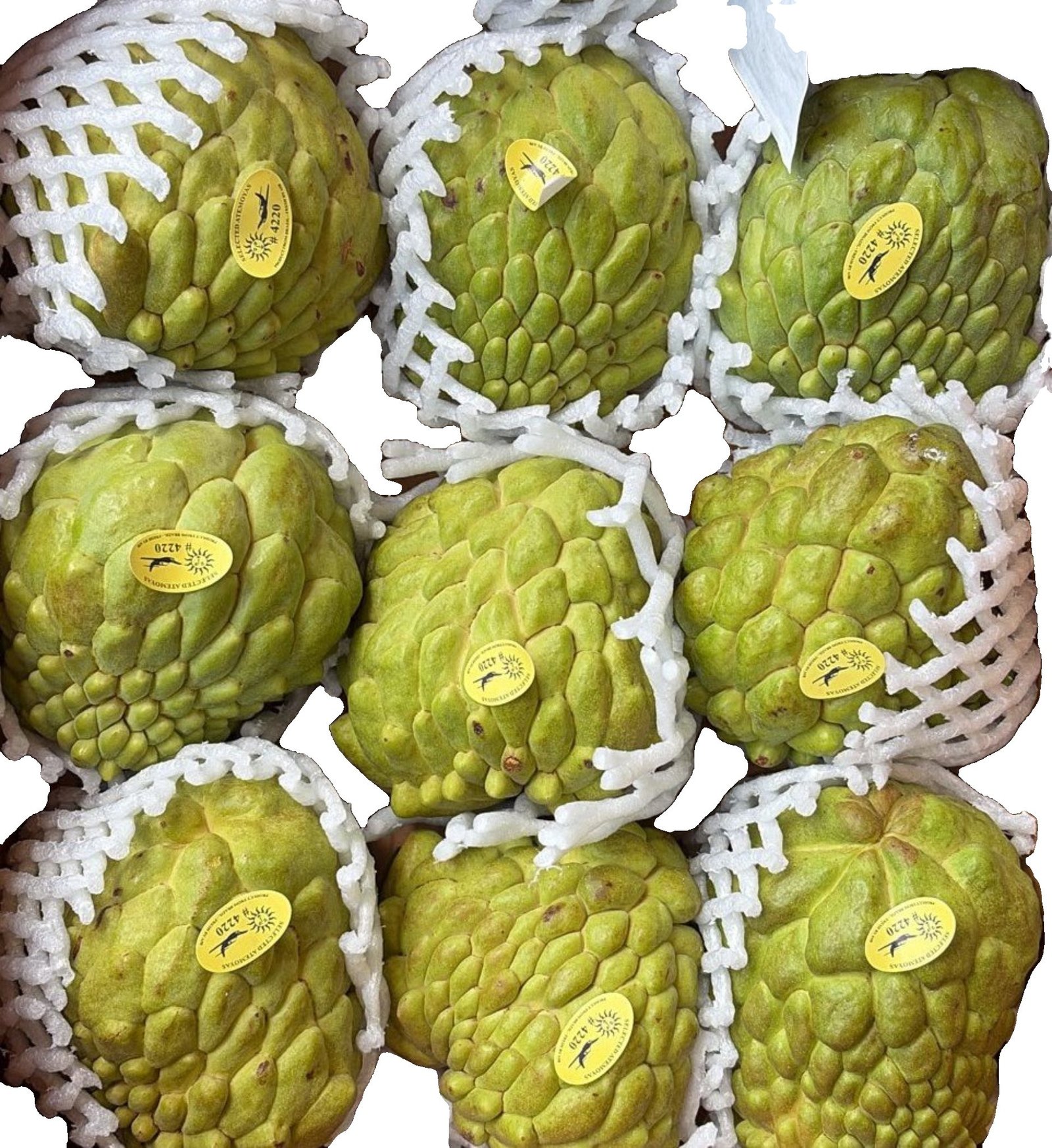 2026/07/wp-1784889924245.jpg Custard Apple (each) - Image 1