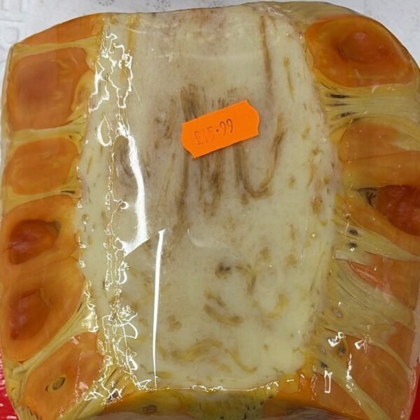 Block of Jackfruit