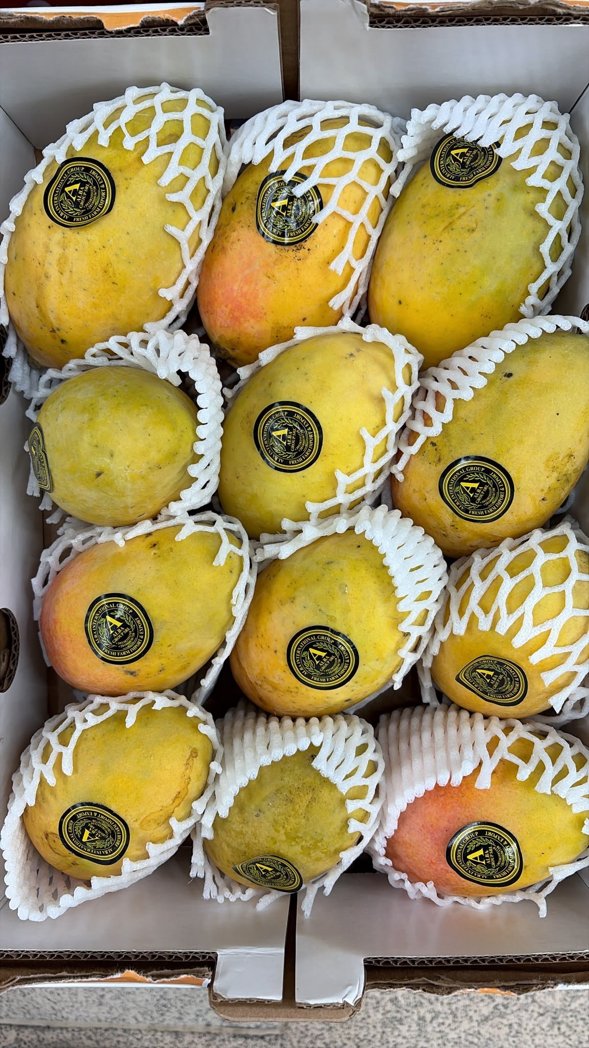 2026/08/1000092614.jpg Egyptian Mangoes (Box) - Image 1