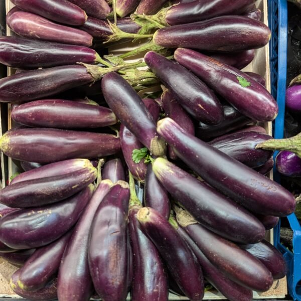 Ravia Aubergine (Box)