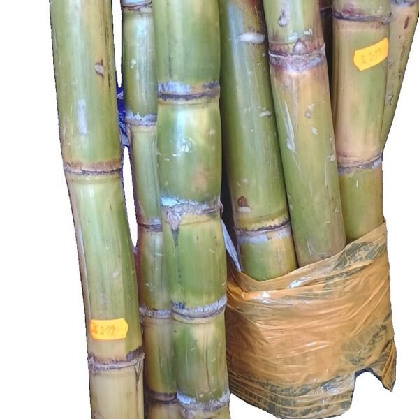 Sugarcane Sticks (each)
